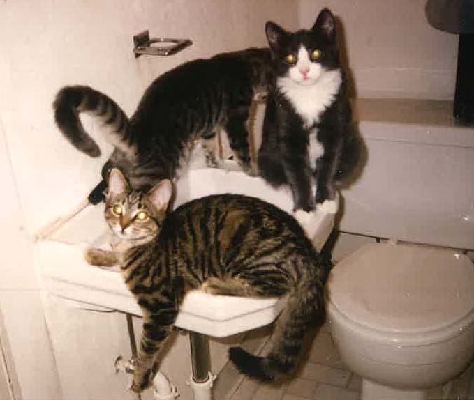 Kids on Sink (2) (Nov 2002, 4.5 months old)